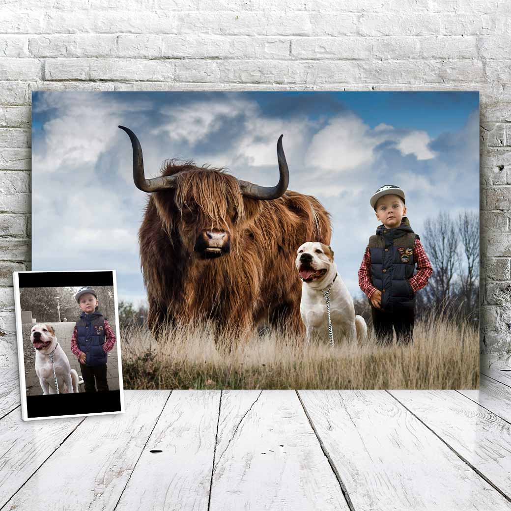 Schotse hooglander - Unieke Foto