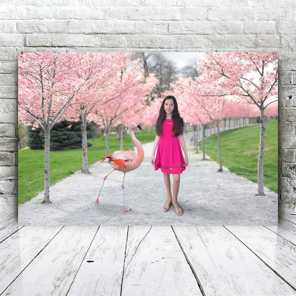 Flamingo Park - Unieke Foto