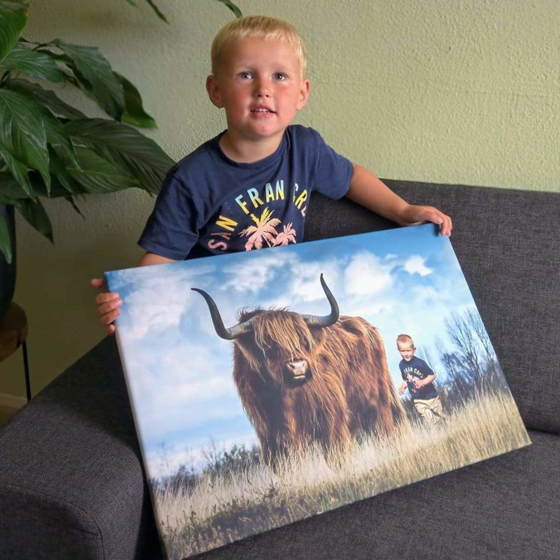 Schotse hooglander - Unieke Foto