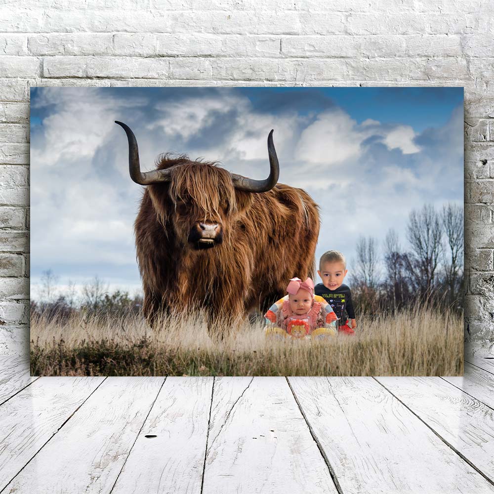 Schotse hooglander - Unieke Foto