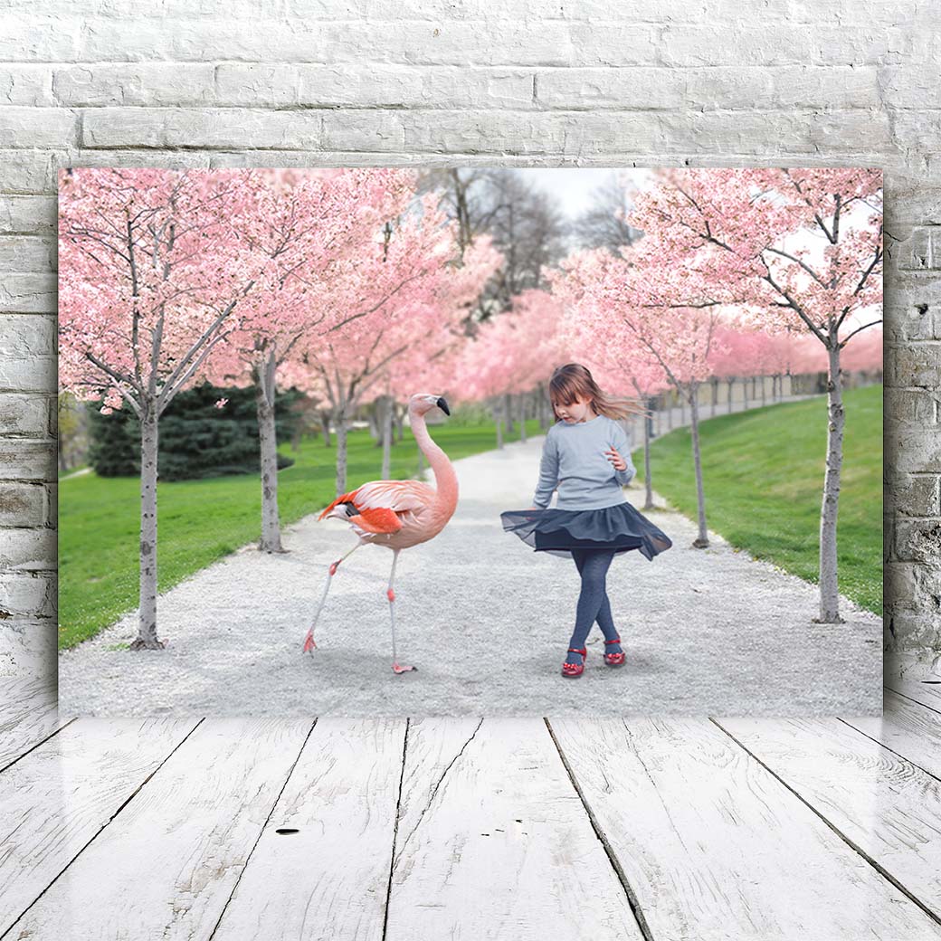 Flamingo Park - Unieke Foto